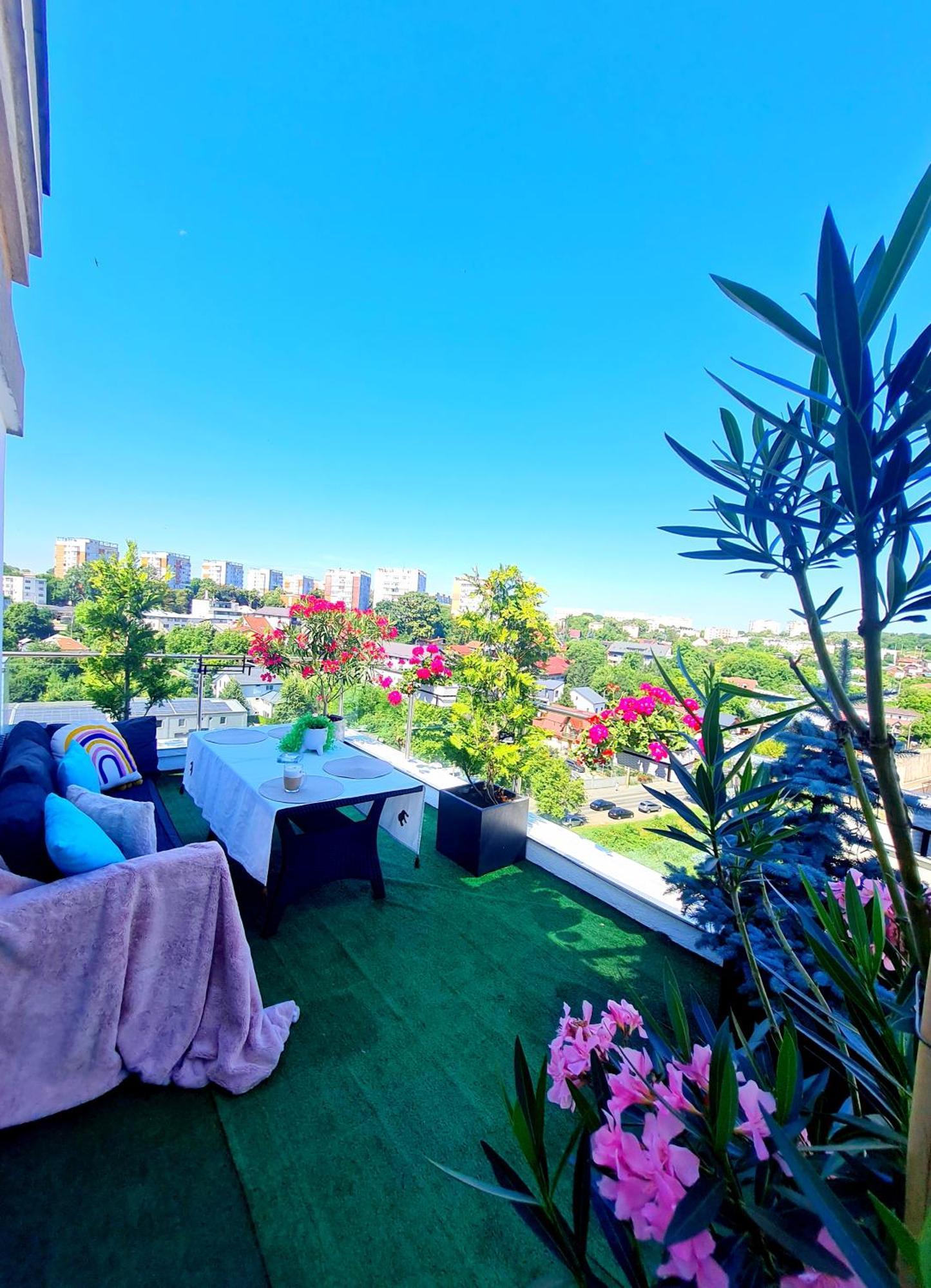 Penthouse View Aeroport Iasi 아파트 외부 사진